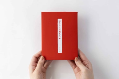 株式会社パラドックス/PARADOX Corp